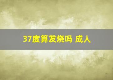 37度算发烧吗 成人